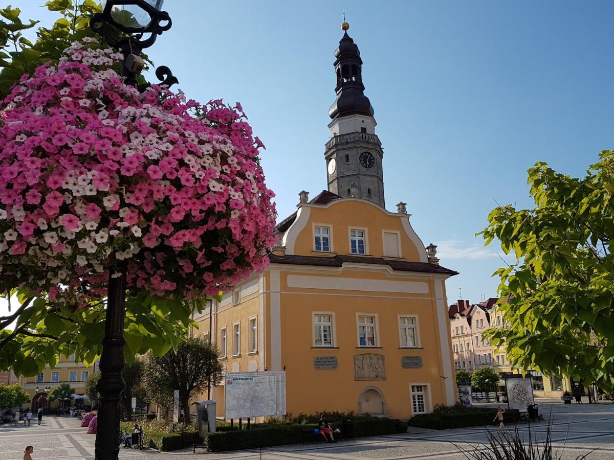 Apartament Przy Starowce - Hampton Boleslawiec  Exterior foto