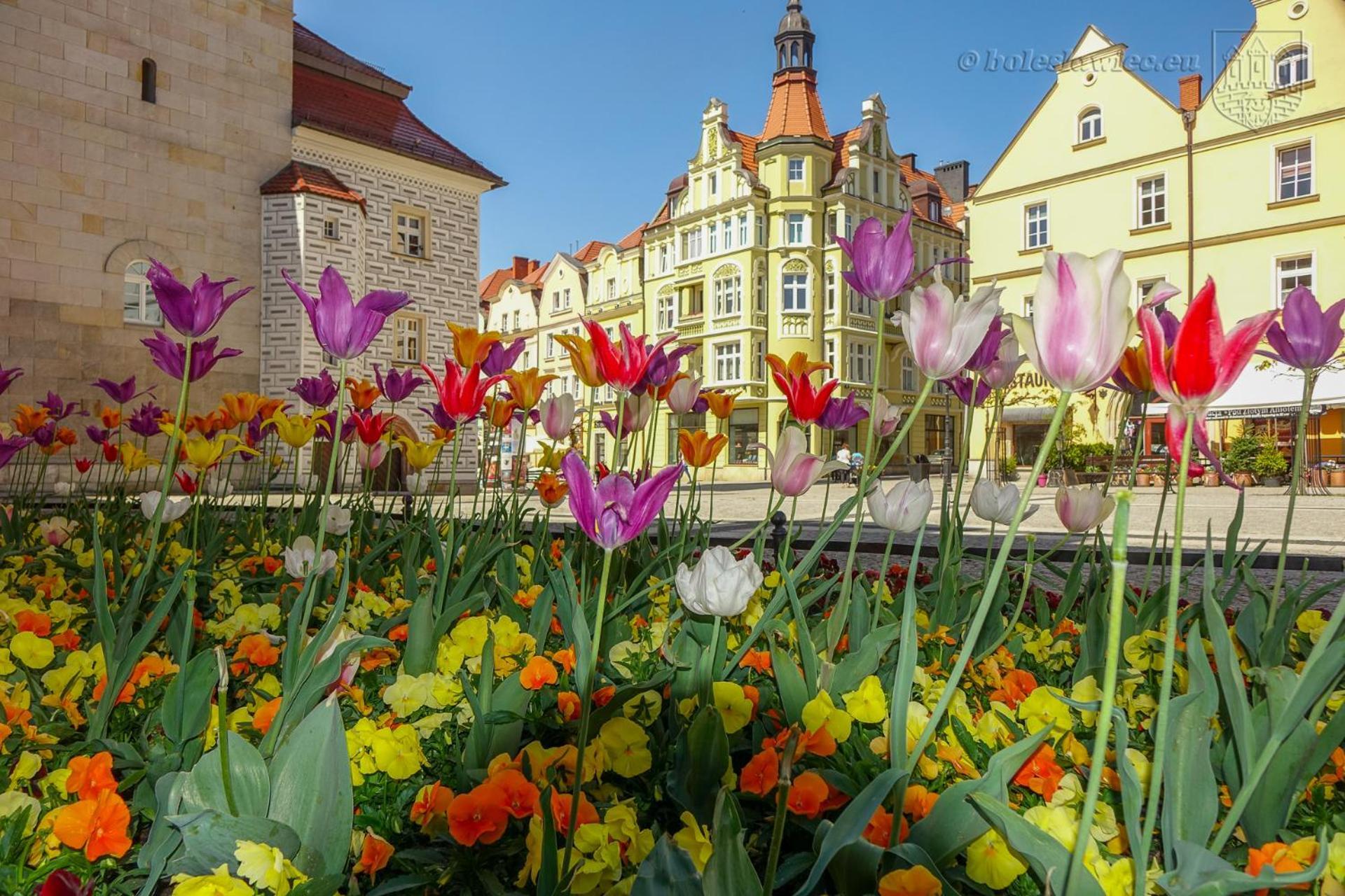 Apartament Przy Starowce - Hampton Boleslawiec  Exterior foto
